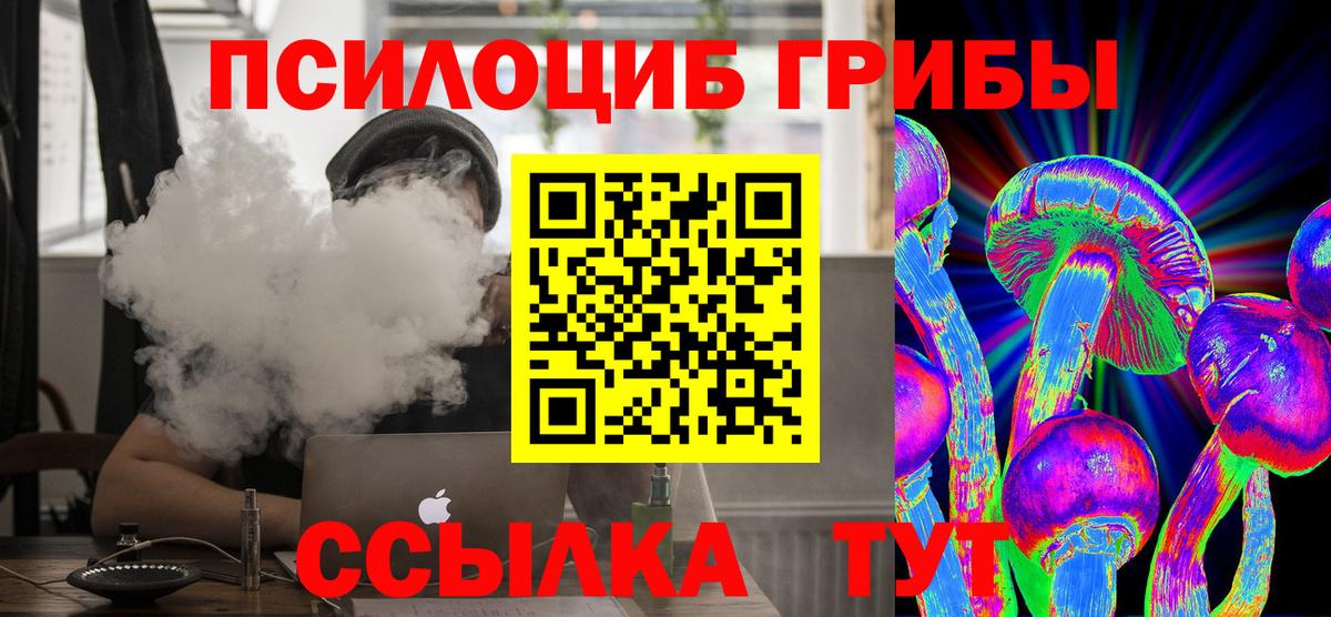 Псилоцибиновые грибы прущие грибы Альметьевск