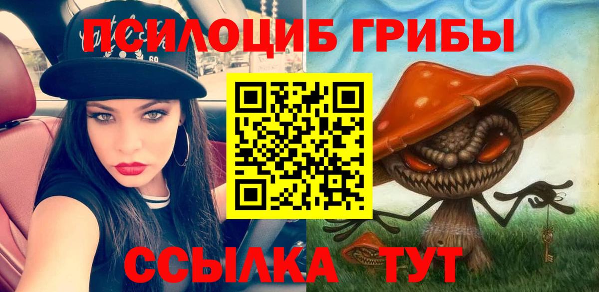 Галлюциногенные грибы Psilocybine cubensis  Вход с VPN  Альметьевск 